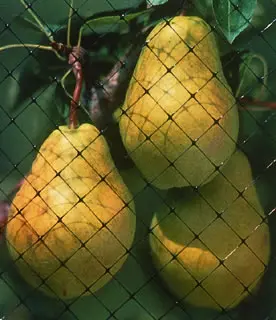 Bird-X® Garden Nets - Image 3