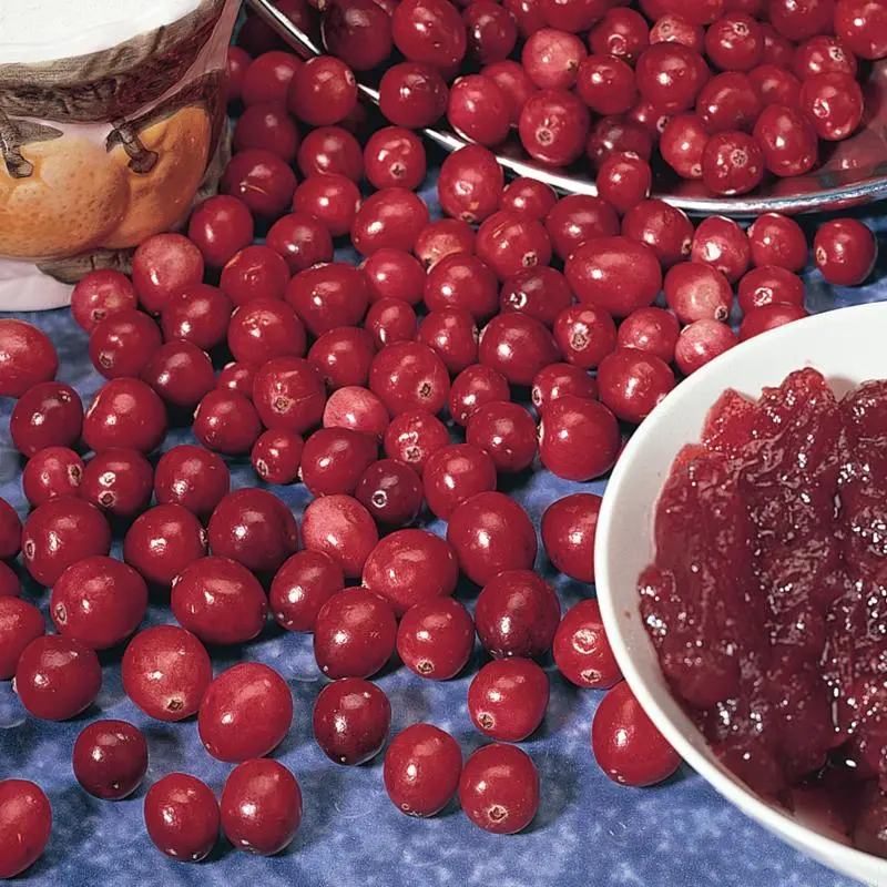 American Cranberry