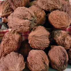 Stark® Kwik-Krop® Walnut