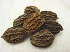 Stark® Bountiful™ Butternut