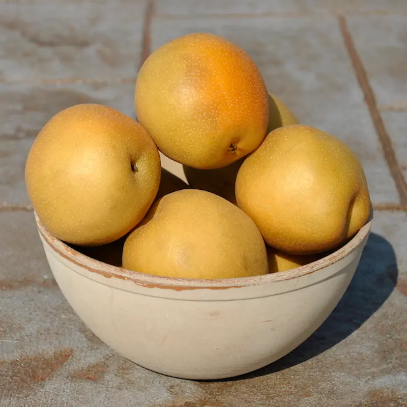 Peggy Asian Pear - Image 3