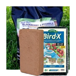 Blackberry Plant Success Kit