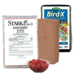 Raspberry Plant Success Kit