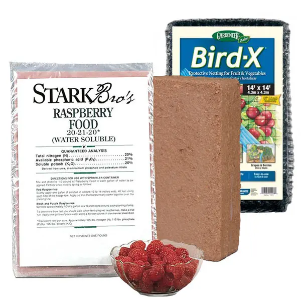 Raspberry Plant Success Kit