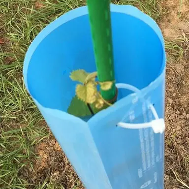 Blue-X® Vine Grow Tube - Image 2