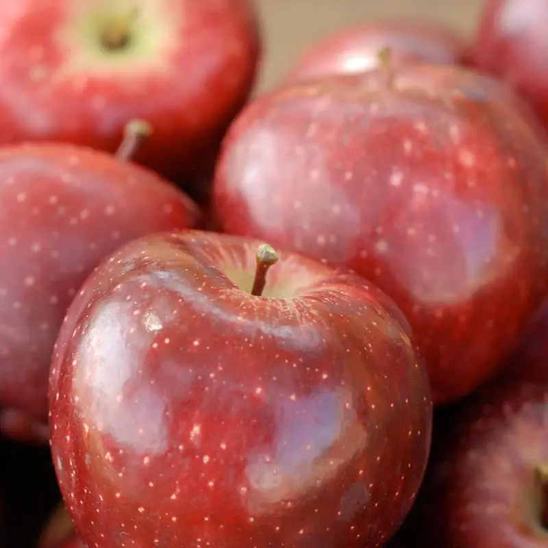 Starkrimson® Red Delicious Apple - Image 3