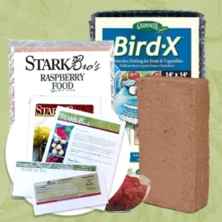 Raspberry Plant Success Kit Gift Certificate Collection