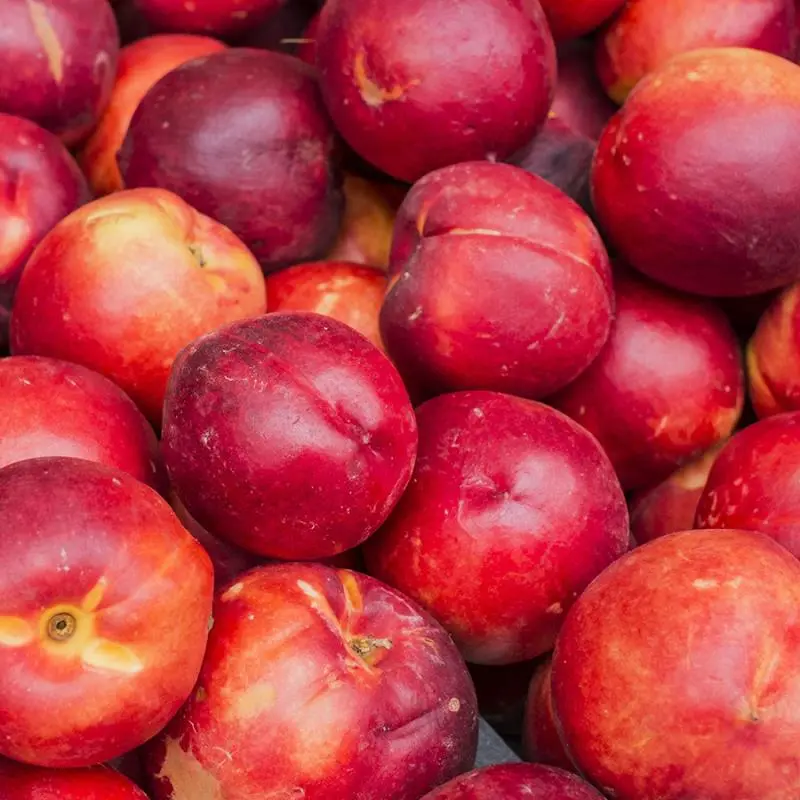 Snow Queen Nectarine