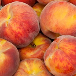 Florida Prince Peach