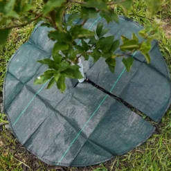 Dewitt Tree Mat Circle