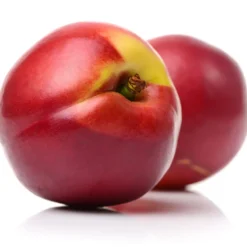 Avalon™ Nectarine