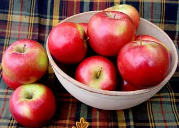 SnowSweet® Apple - Image 2